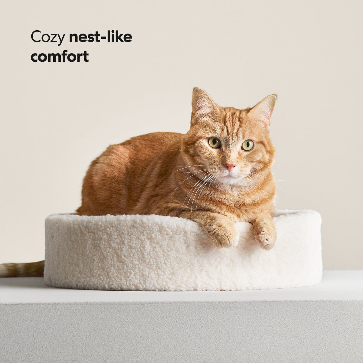 Kip Cat Bed by tuft + paw