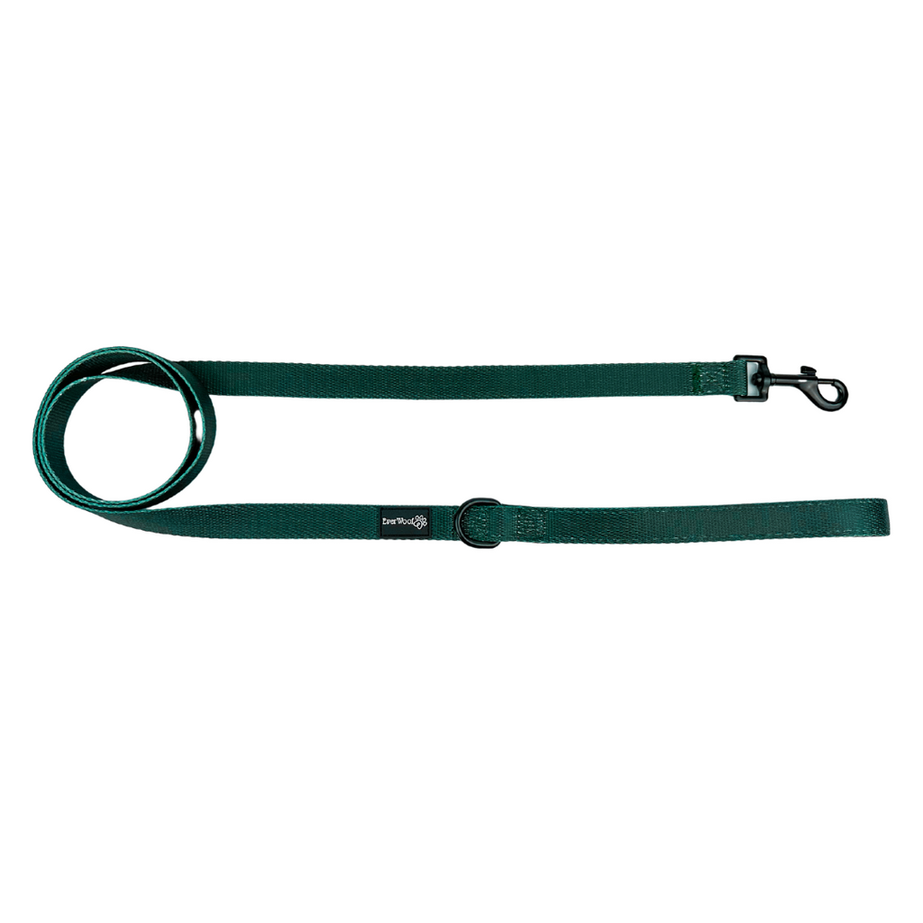Evergreen Dream Leashes by EverWoof