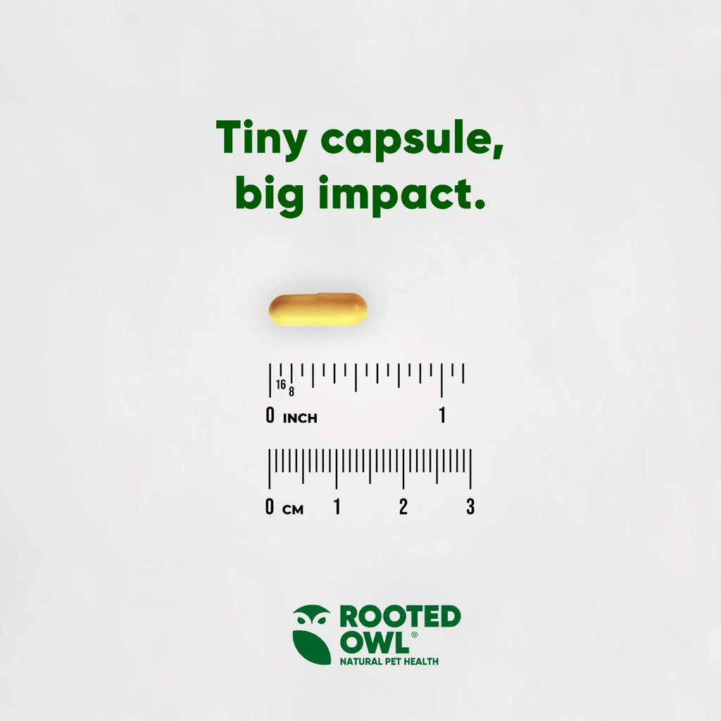 Turmeric by Rooted Owl Pet Supplements