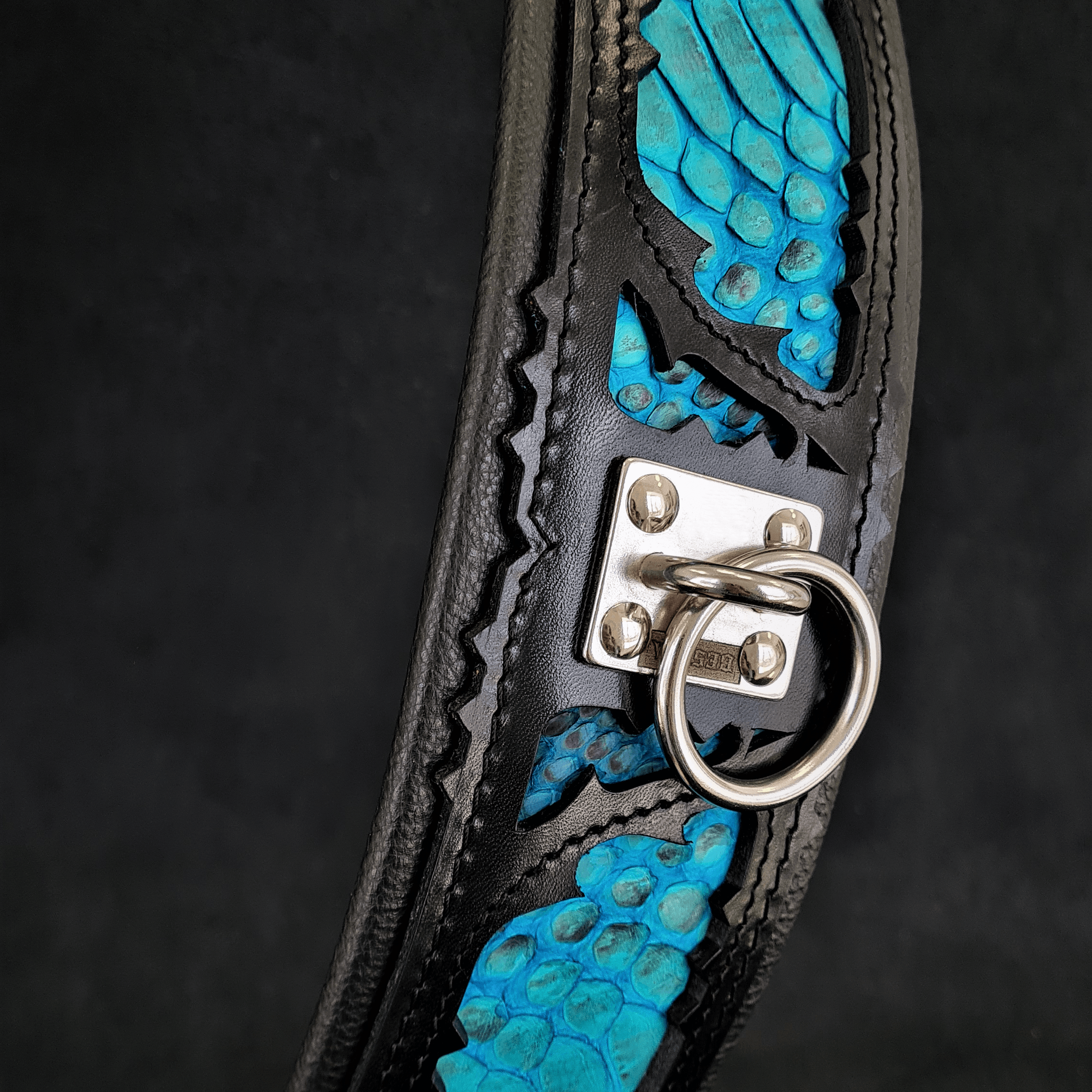 The ''Morelia Python'' collar by Bestia Dog Gear