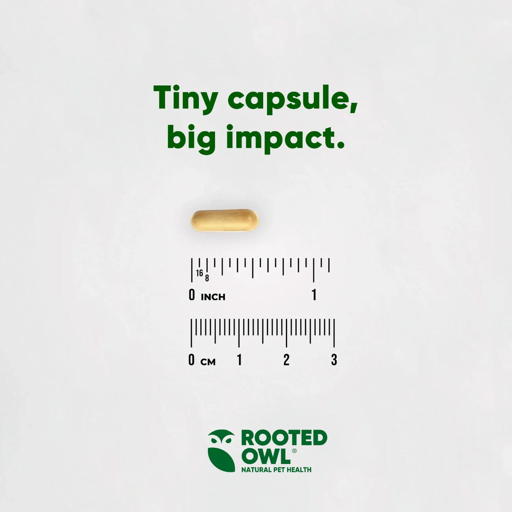 Liver Support by Rooted Owl Pet Supplements