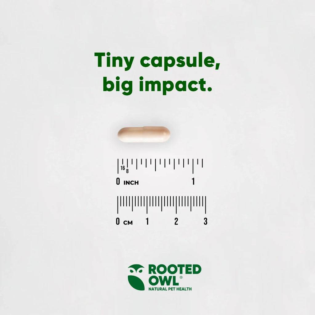 Urinary Support by Rooted Owl Pet Supplements