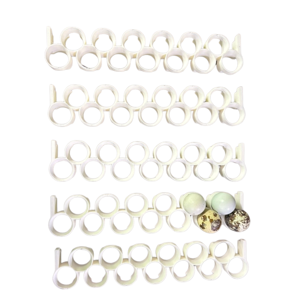Jumbo Quail Egg Rails for Cimuka®/Hatching Time® Incubators (CT-Series) by Quailz.com by Undique LLC