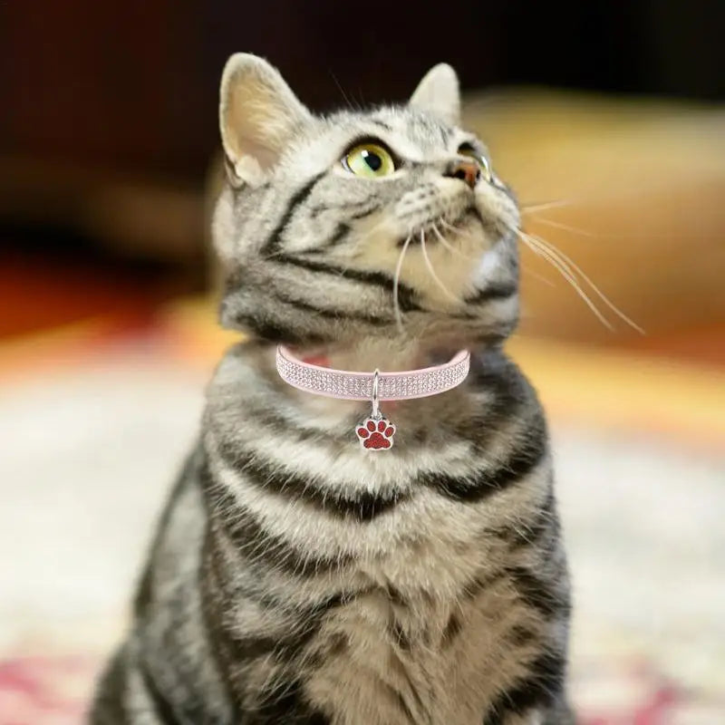 Sparkling Pet Collars With Paw Print Tag by Love My Pet
