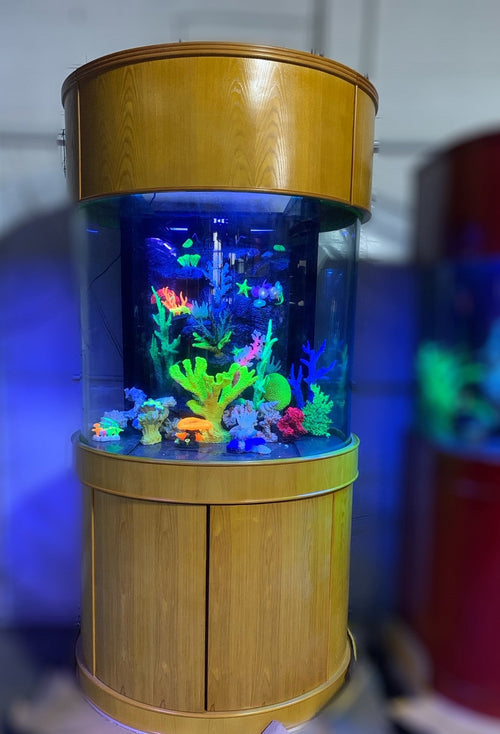 90 Gallon Glass 3/4 Cylinder Round Aquarium With Stand and Canopy in Golden Oak by Northeast Aquariums LLC