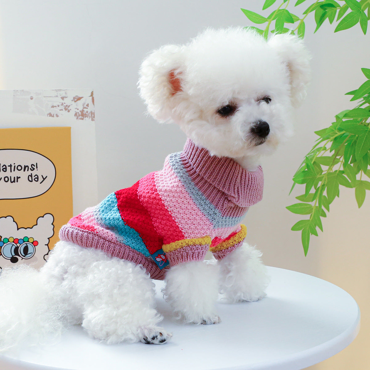 Comfortable Colorful Sweater by VetsPetStore