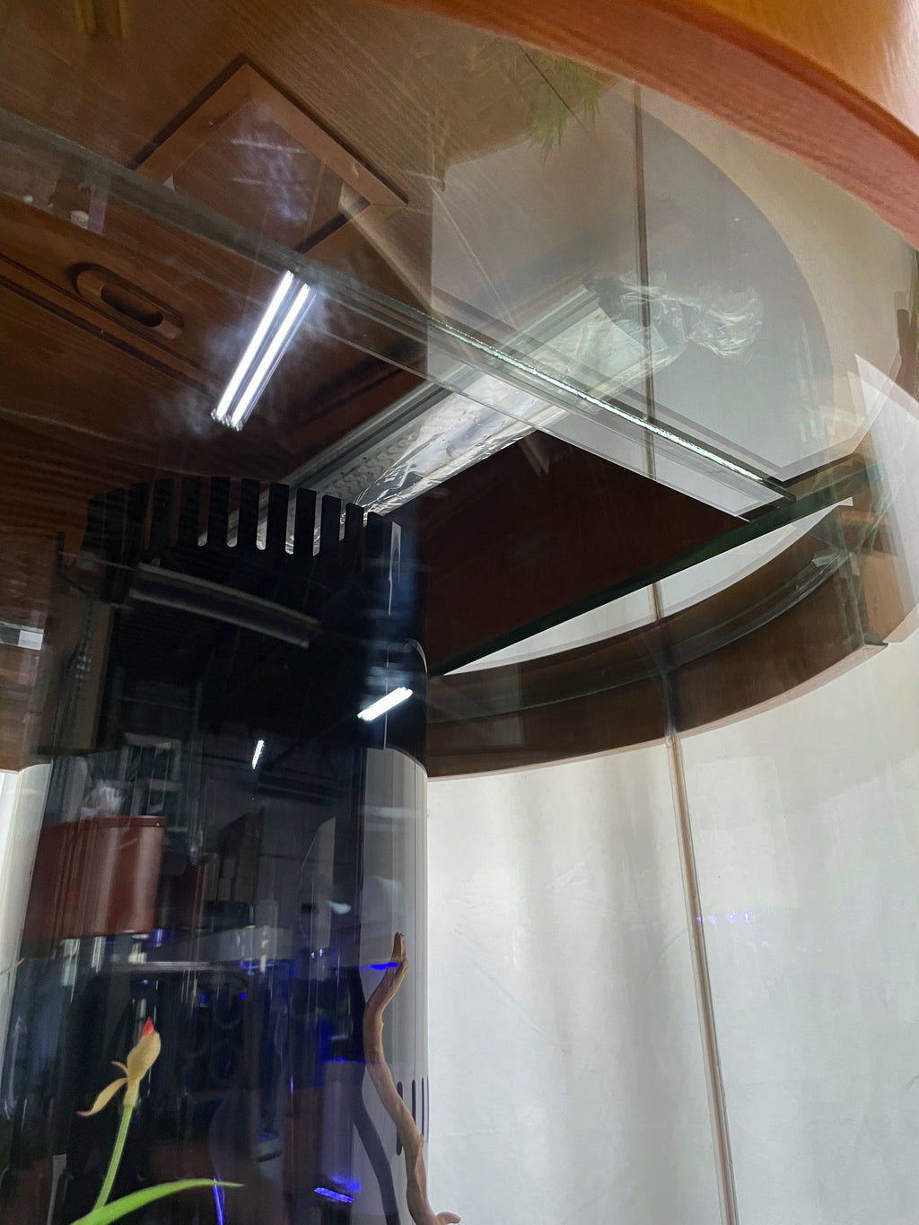 100 Gallon Glass Full Cylinder Aquarium Minor Blemish Reef-Ready Aquarium in Golden Oak Real Wood Furniture by Northeast Aquariums LLC