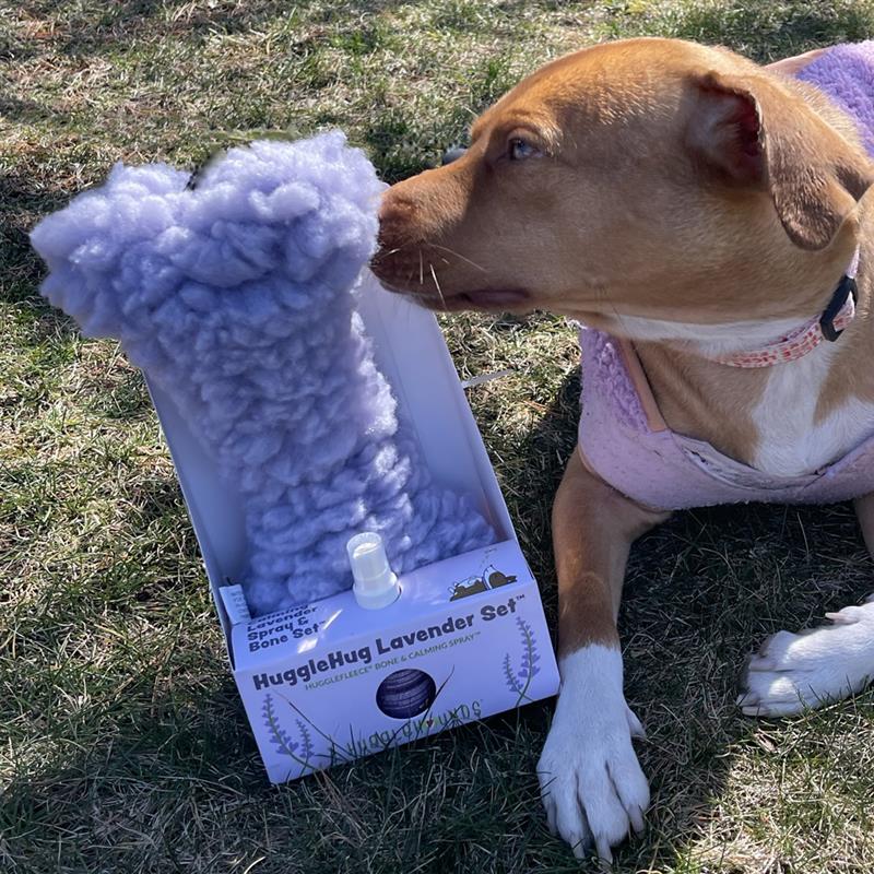 HuggleHug™ Lavender Bone & 2oz Calming Spray Dog Toy Set by HuggleHounds