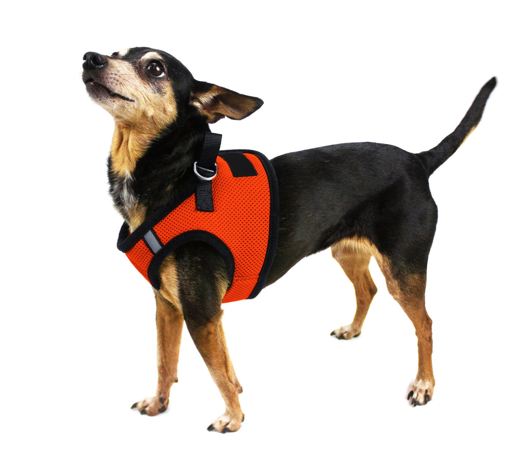 Boston Mesh Dog Harness + Built-in Hook & Loop Fastener by Dogline