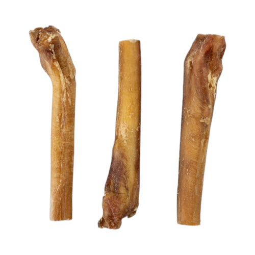 All-Natural Beef Bully Sticks Dog Treats, Single Ingredient & Long-Lasting Chews – 6-Inch Jumbo (25/case) by American Pet Supplies