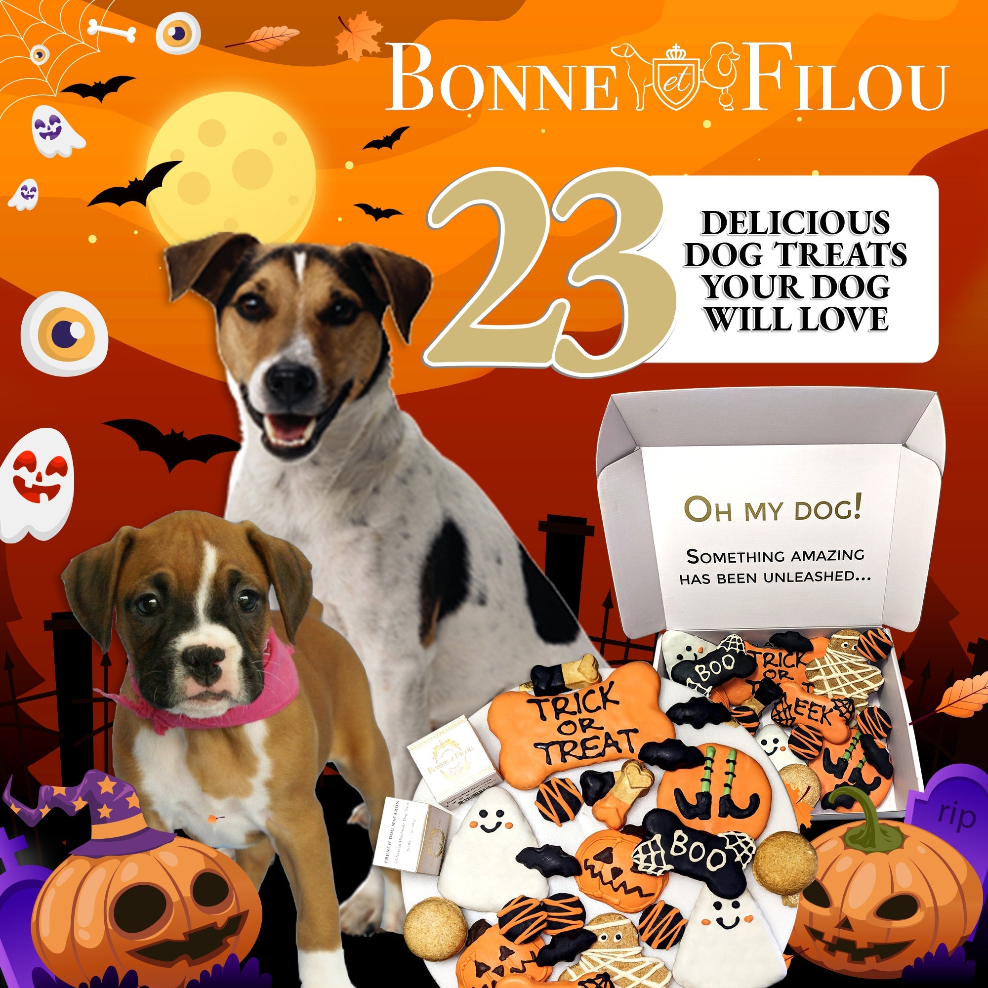 Halloween Themed Dog Treats Gift Box by Bonne et Filou
