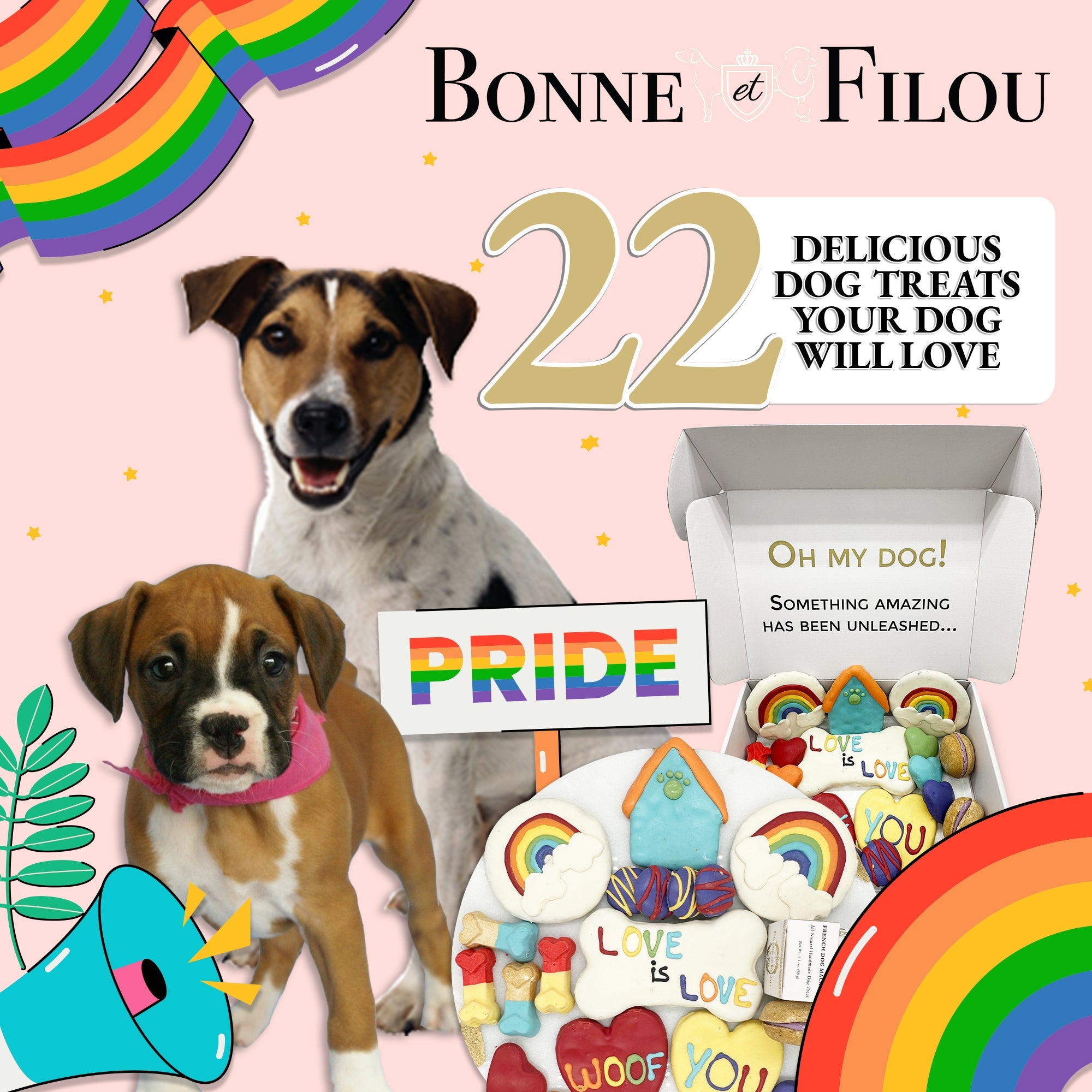 Pride Themed Dog Treats Gift Box by Bonne et Filou