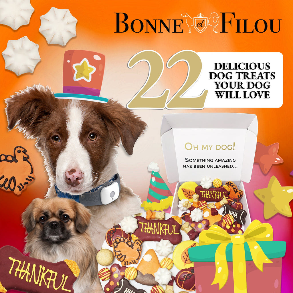 Thankful Themed Dog Treats Gift Box by Bonne et Filou
