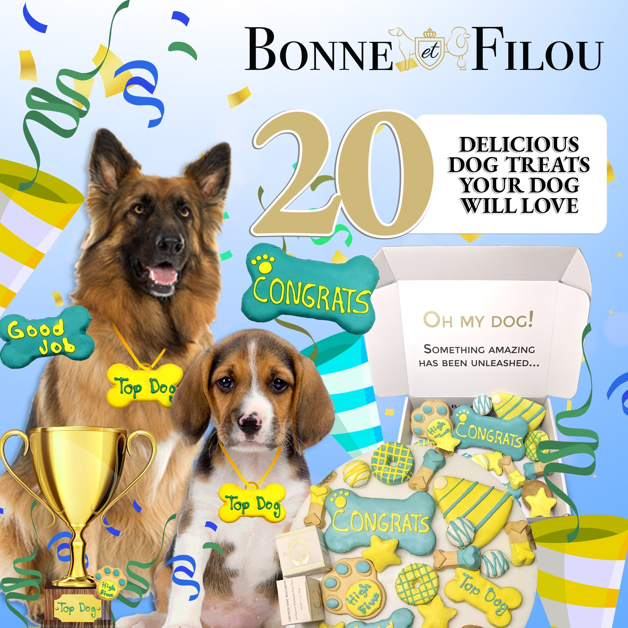 Winter Themed Dog Treats Gift Box by Bonne et Filou