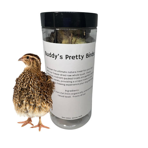 Bird Dog Training Quail - Premium Freeze-Dried Whole Quail for Dogs 5ct, Large (Chick) - Natural Prey Feeding Quality Protein Pet Treats by Quailz.com by Undique LLC