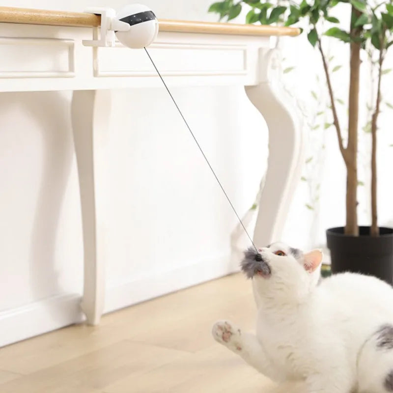 Electric Lifting Interactive Cat Teaser Ball by Love My Pet