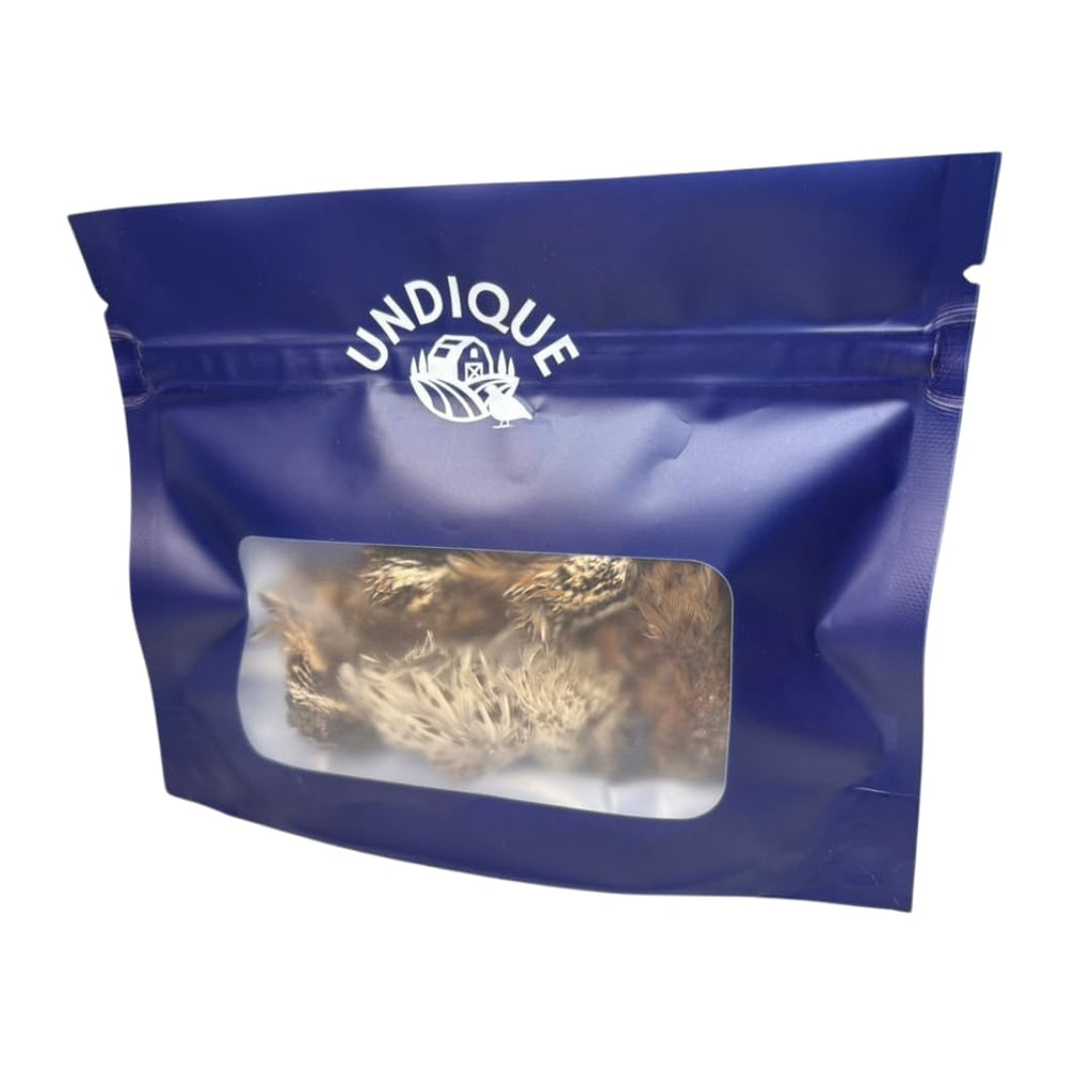 Fine Feline Feasts Quail Heads - Gourmet Cat Treats, High Protein, Nutrient-Dense, Promotes Natural Instincts, Healthy Skin & Coat, Minimal Ingredients Pack of 10 by Quailz.com by Undique LLC