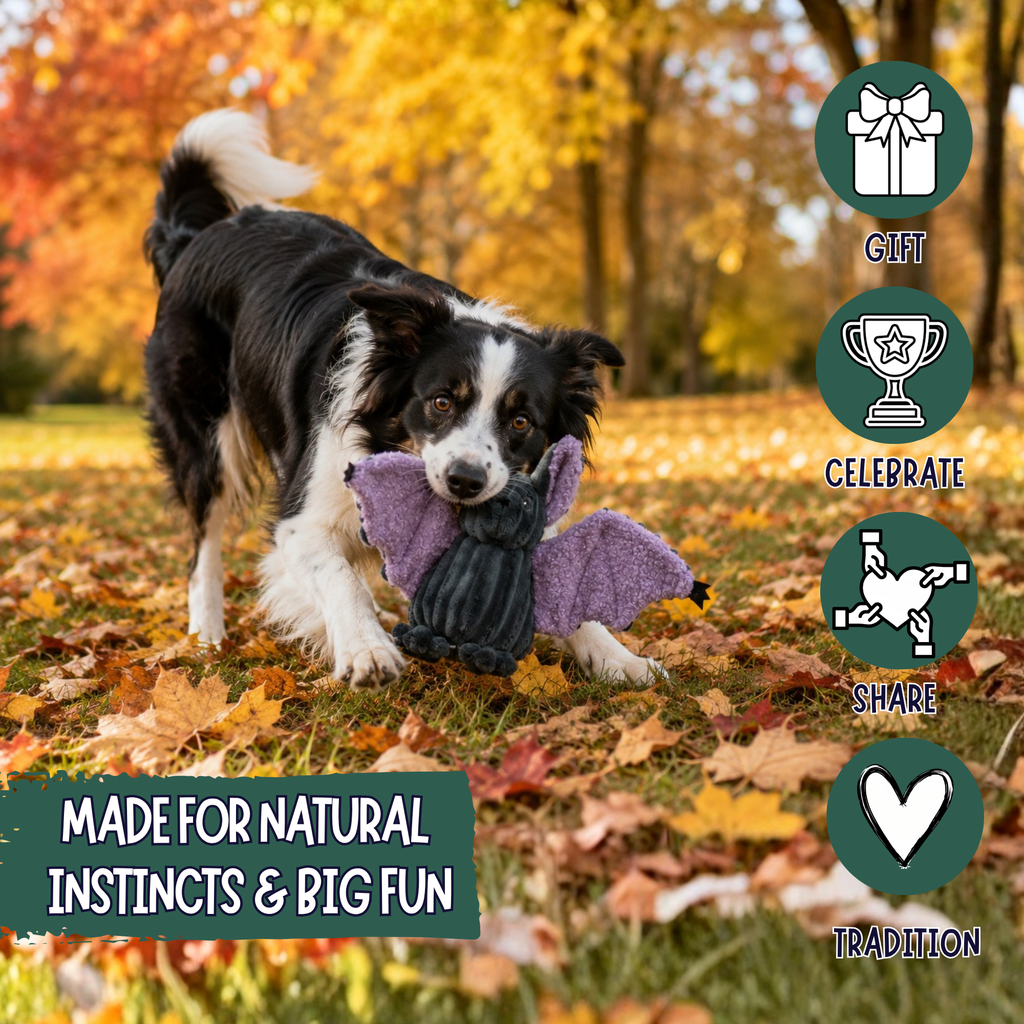 Baxter Bat Halloween Dog Toy by HuggleHounds