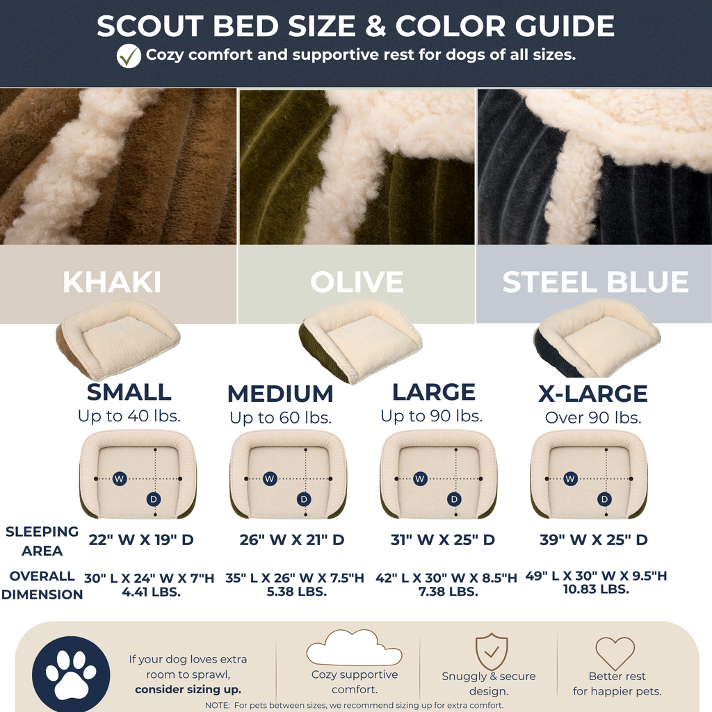 Scout Perfect Bolster Dog Bed by HuggleHounds
