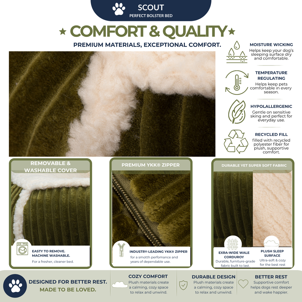 Scout Perfect Bolster Dog Bed by HuggleHounds