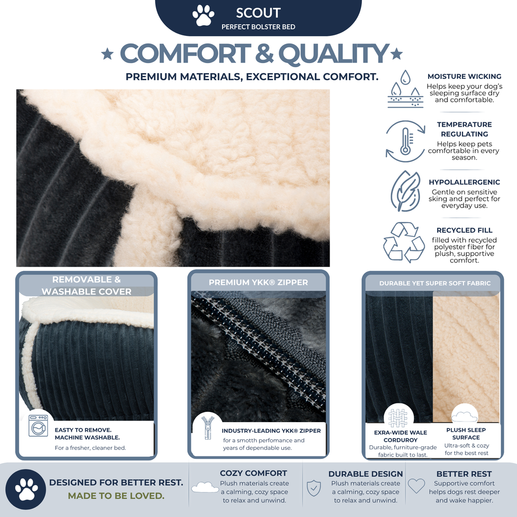Scout Perfect Bolster Dog Bed by HuggleHounds