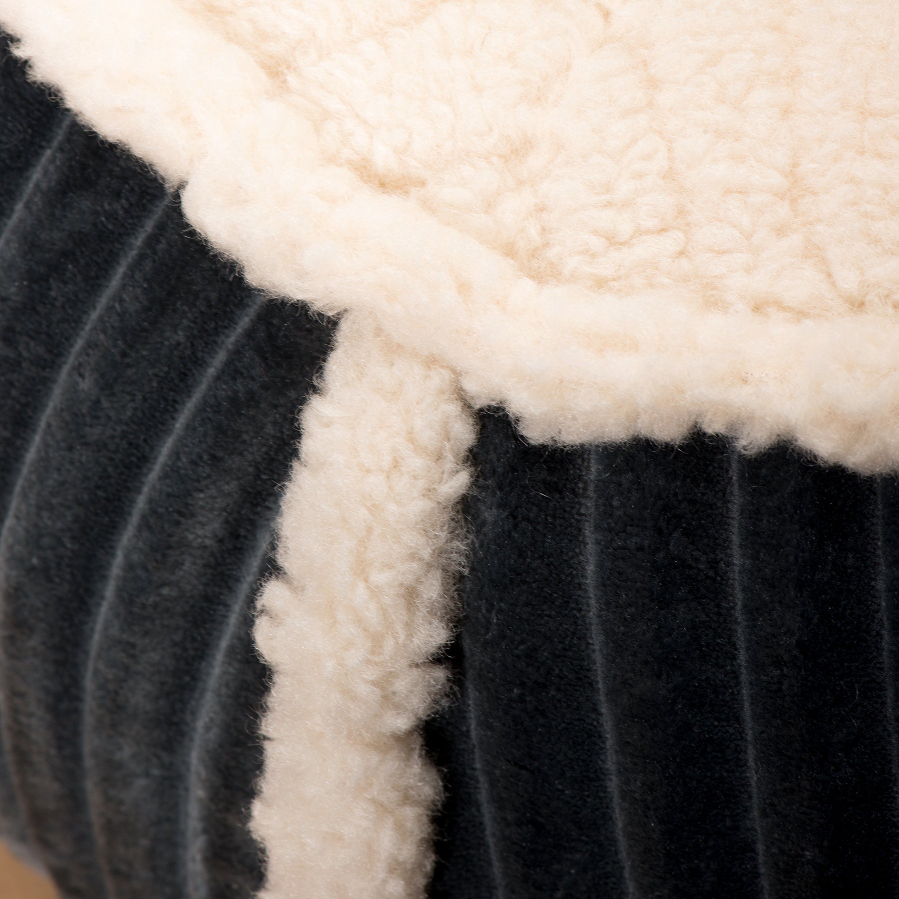 Scout Perfect Bolster Dog Bed by HuggleHounds