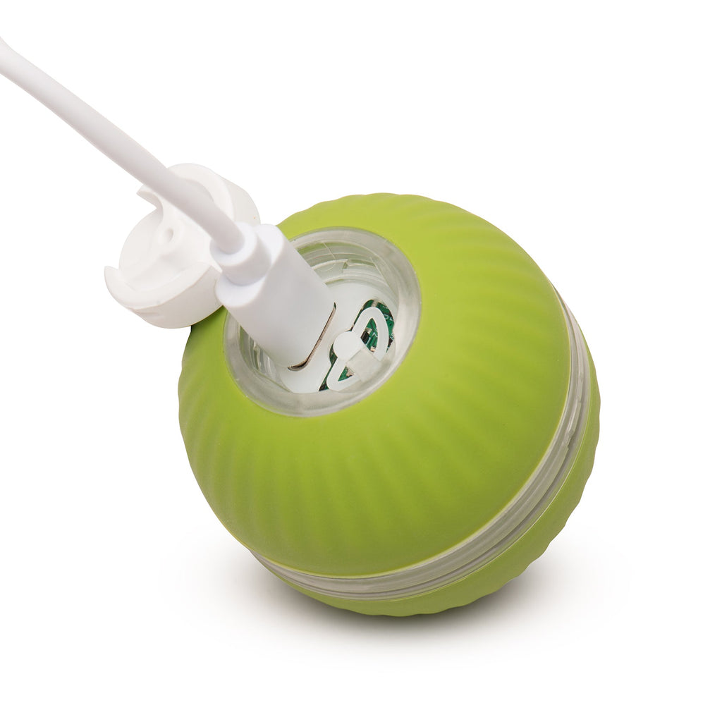 HuggleKats® PlayKat® Interactive Cat Toy by HuggleHounds