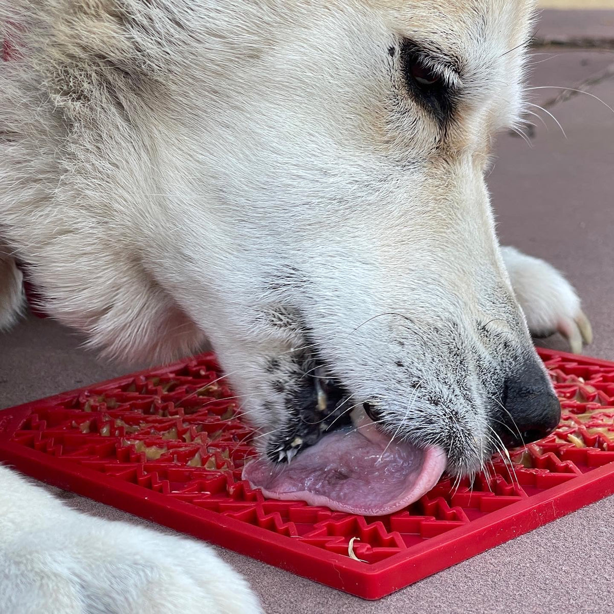 "Peace" Christmas Tree emat - Enrichment Lick Mat for Dogs and Cats | Christmas Tree design | SodaPup by SodaPup/True Dogs, LLC