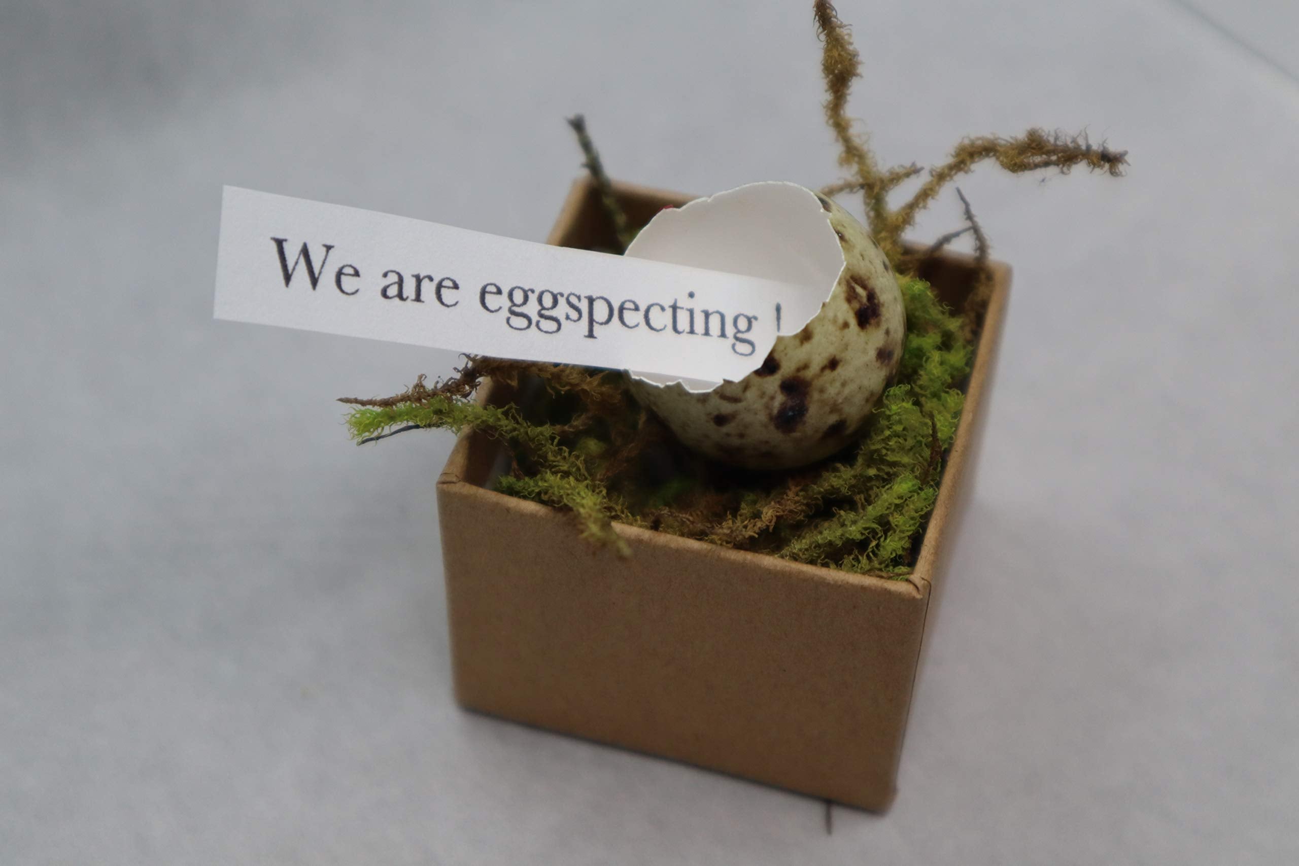 Gender Reveal Ideas: Quail Egg Pregnancy Announcement Kit for Family - Creative Baby Shower Activities & Memorable Baby's Gender Reveal comes with 3 Hollow Quail eggs, glitter, and a craft box by Quailz.com by Undique LLC