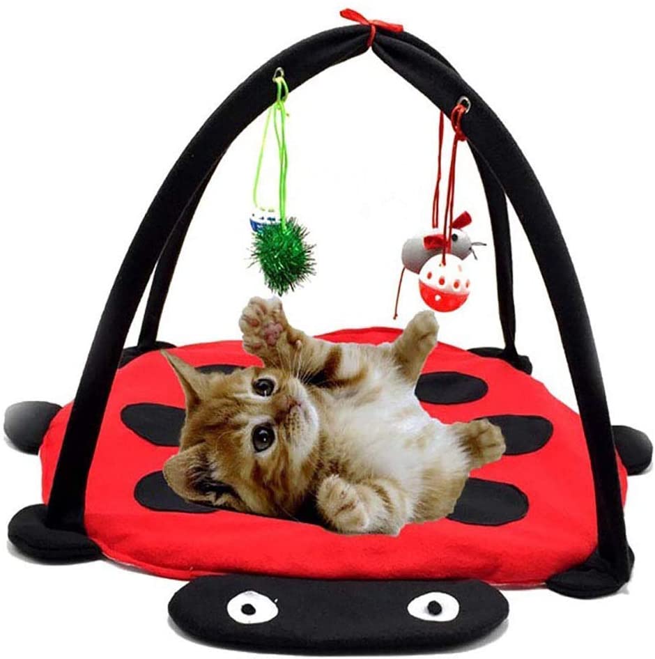 Black Ladybug Cat Play Mat by Furr Baby Gifts