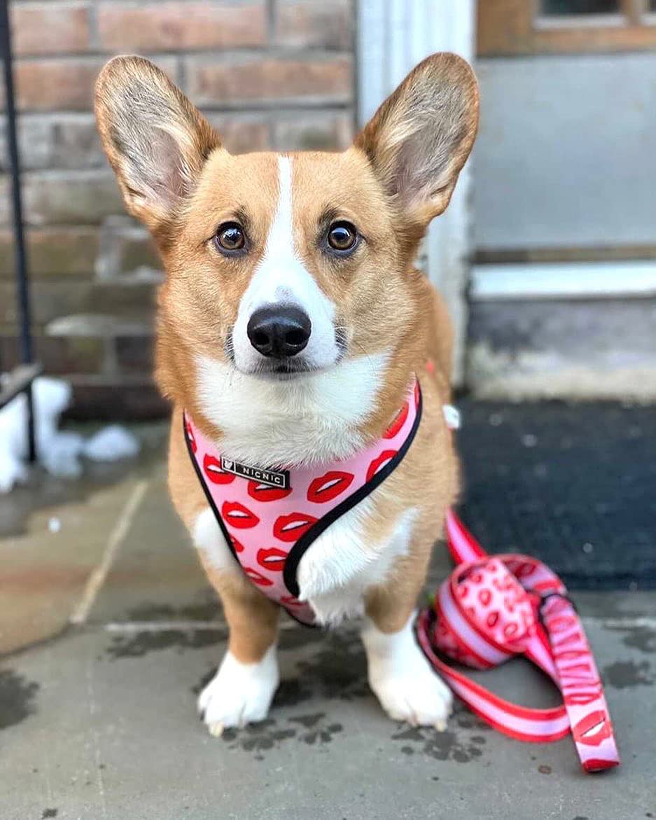 Luxury Red Lips Breathable Mesh Harness Chest Back + Traction by Furr Baby Gifts