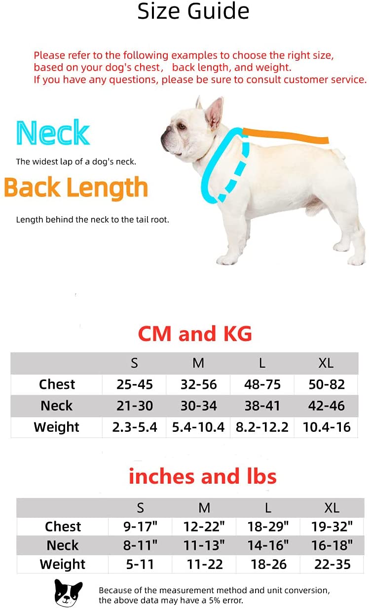 Luxury Red Lips Breathable Mesh Harness Chest Back + Traction by Furr Baby Gifts