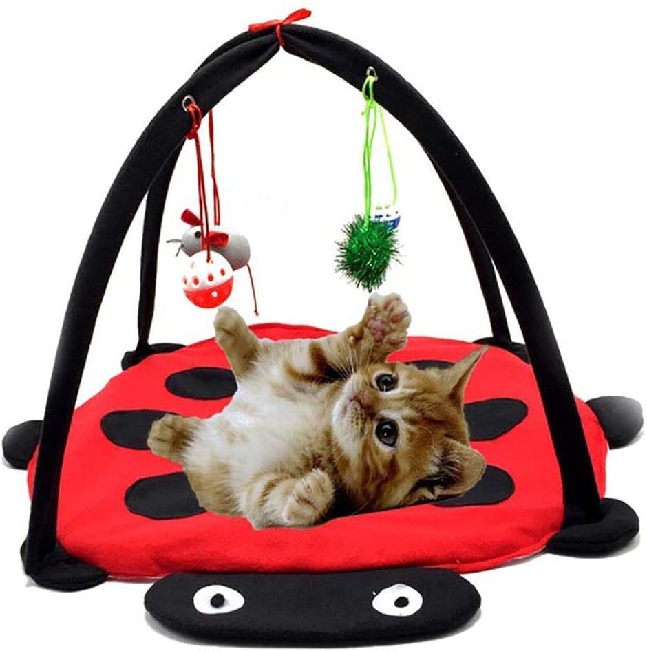Black Ladybug Cat Play Mat by Furr Baby Gifts