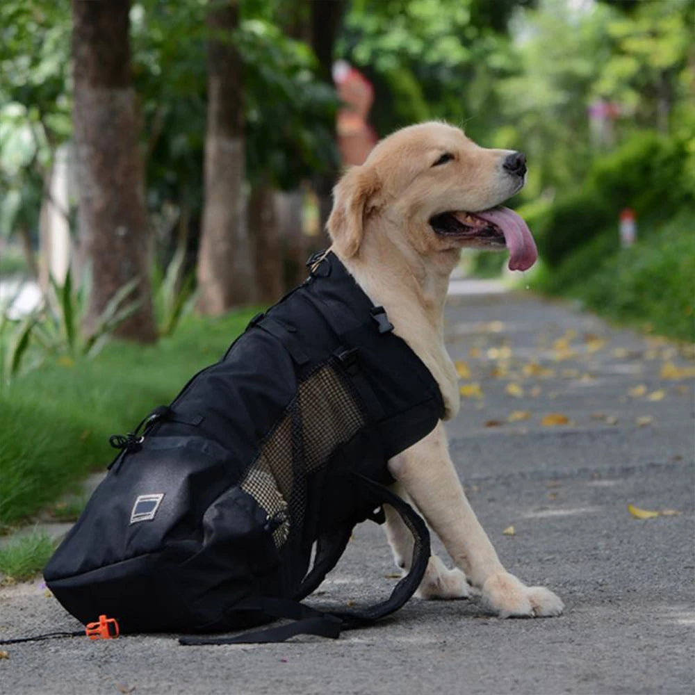 Large Pet Backpack For Outdoor Travel by Love My Pet