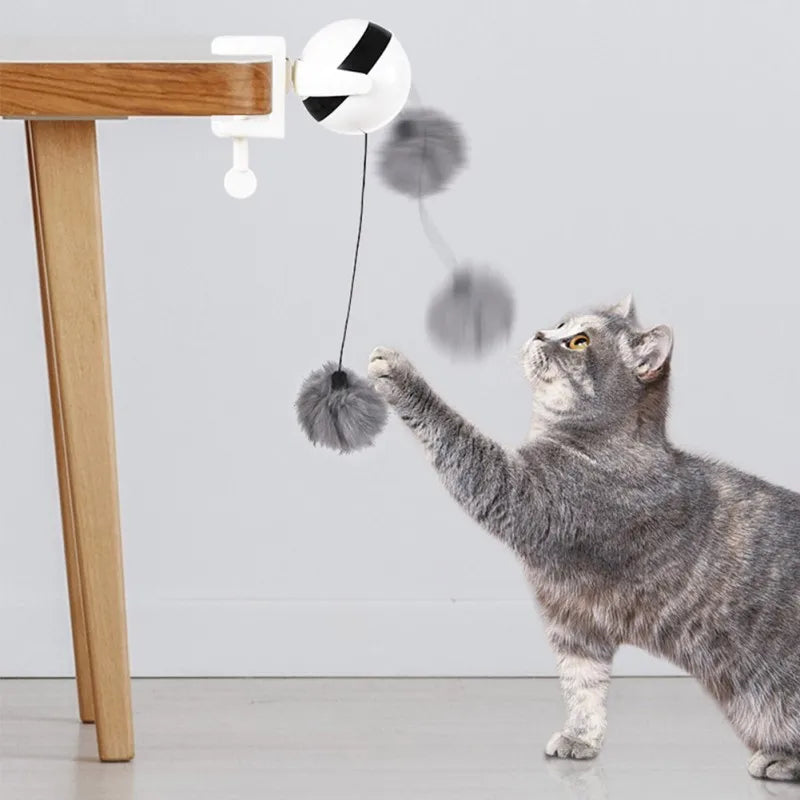 Electric Lifting Interactive Cat Teaser Ball by Love My Pet