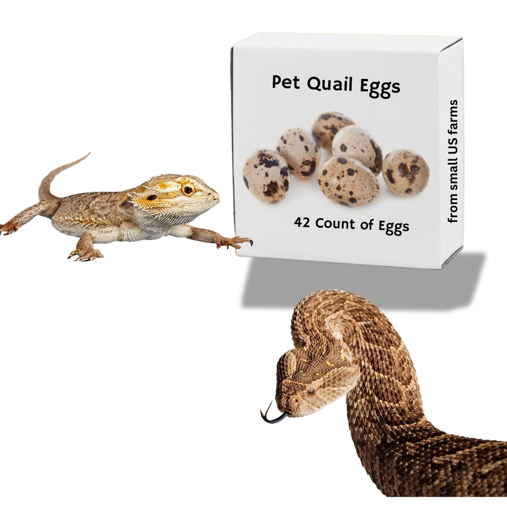Whole Quail Eggs for Pets, Raw Feeding