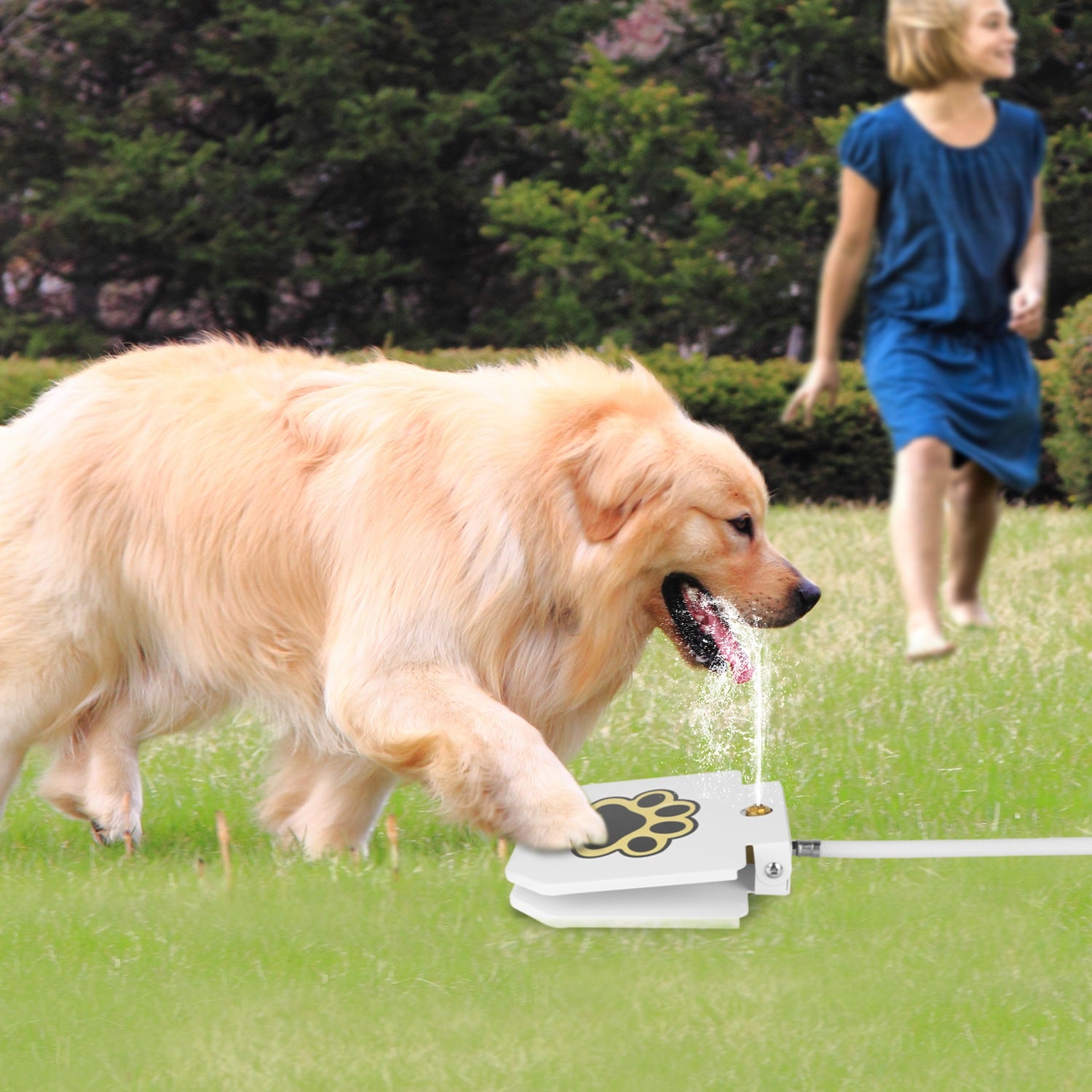 Dog Water Fountain Outdoor Step on Activated Sprinkler