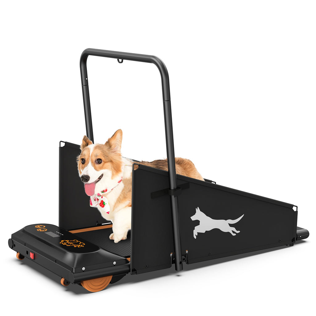 Dog Treadmill and Pacer For Healthy & Fit Pets by Amazing Pet Bargains