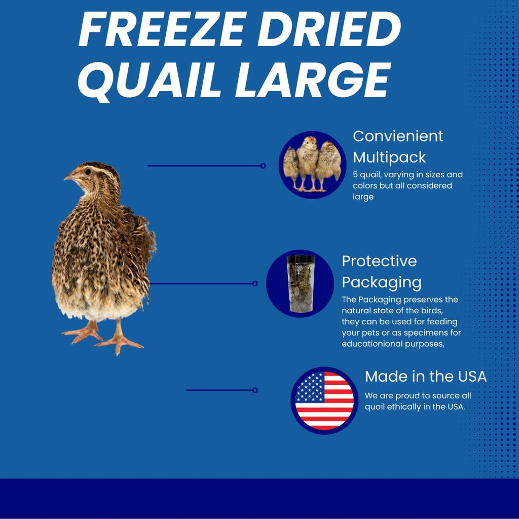 Bird Dog Training Quail - Premium Freeze-Dried Whole Quail for Dogs 5ct, Large (Chick) - Natural Prey Feeding Quality Protein Pet Treats