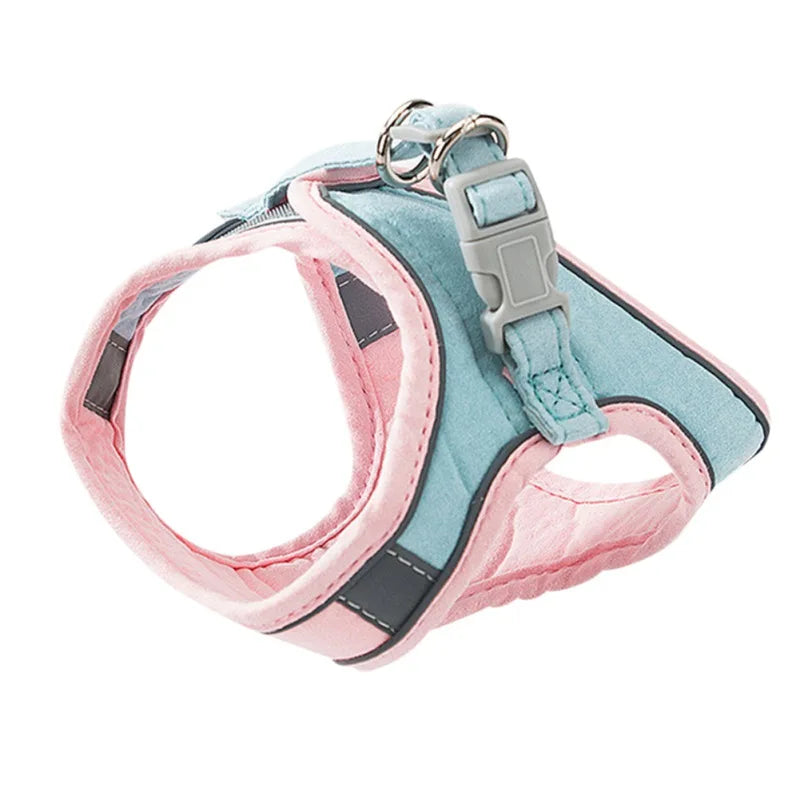 Pet Harness and Leash Set by Love My Pet