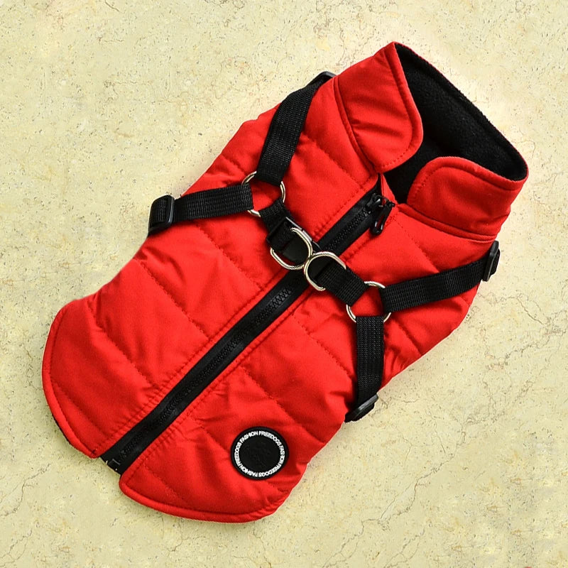 Winter Pet Jacket With Buckle by Love My Pet