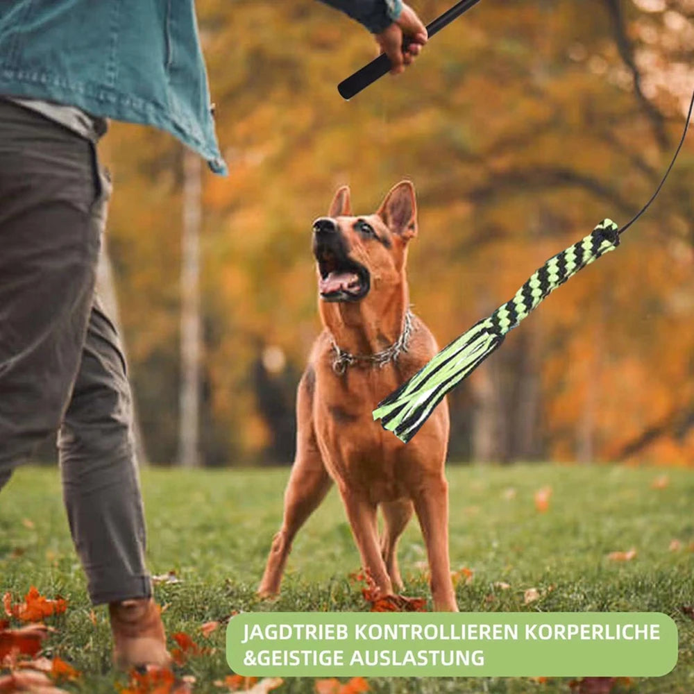 Durable Teaser Rod Tethered Dog Toy For Outdoor Sports by Love My Pet