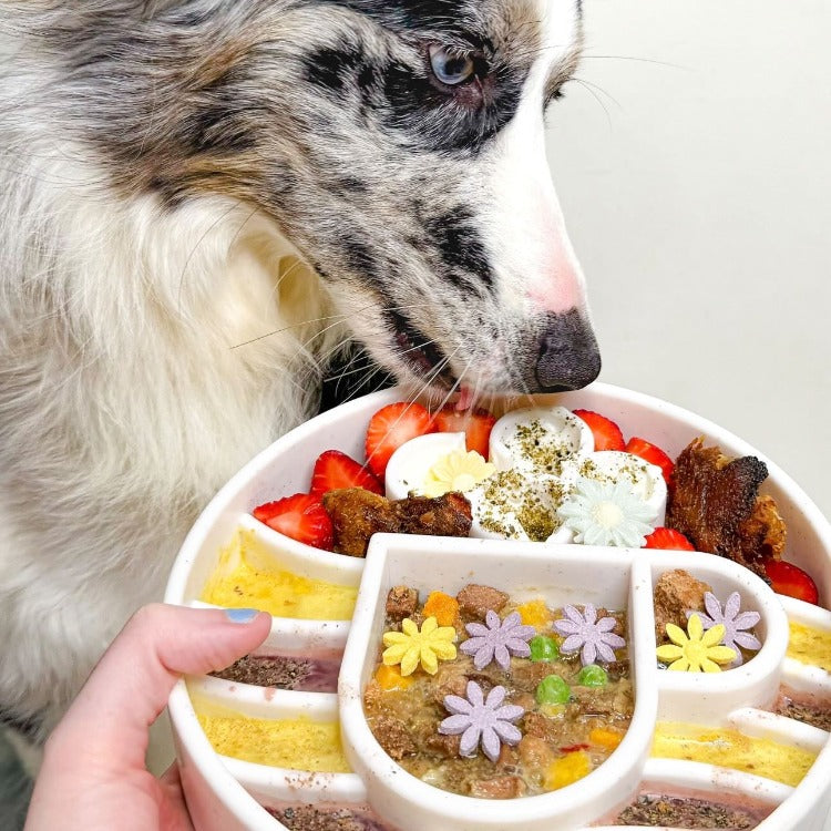 Java eBowl Deep Slow Feeder Dog Bowl for Enrichment | USA Made by SodaPup/True Dogs, LLC