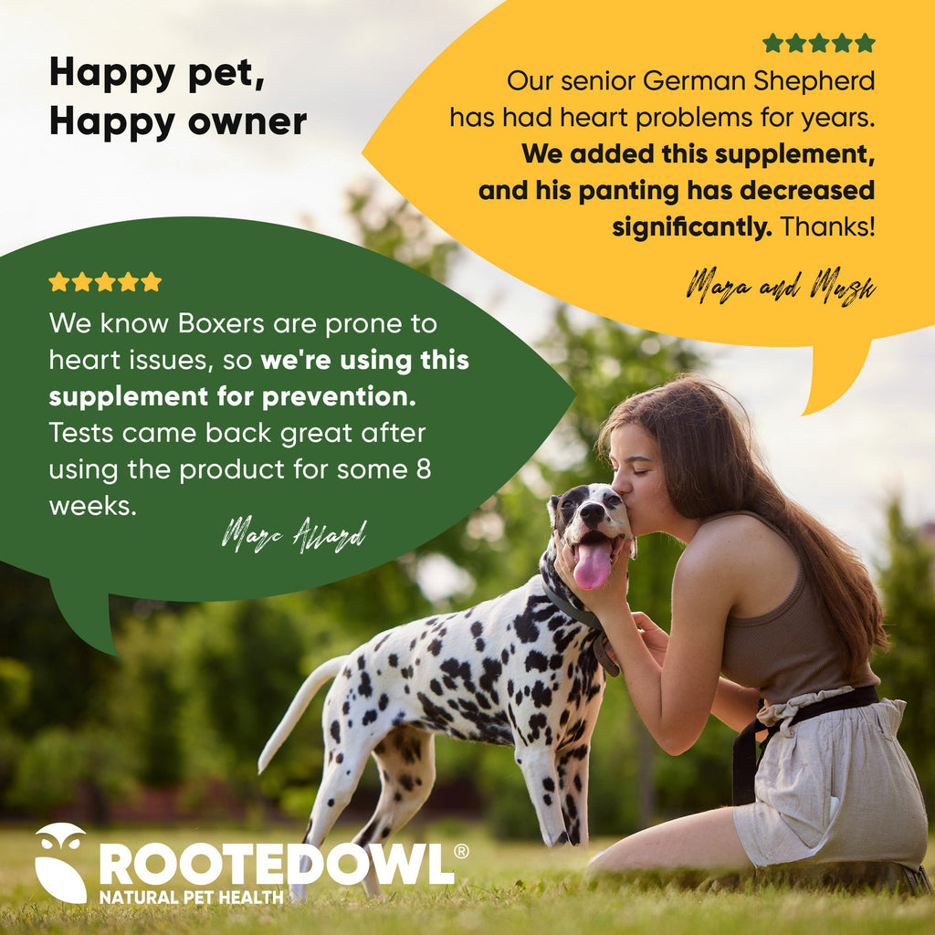 Cardio Support by Rooted Owl Pet Supplements