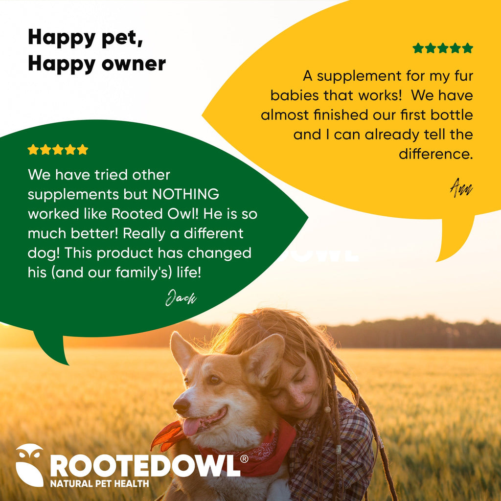 Joint & Muscle Health (Cats & Small Dogs) by Rooted Owl Pet Supplements