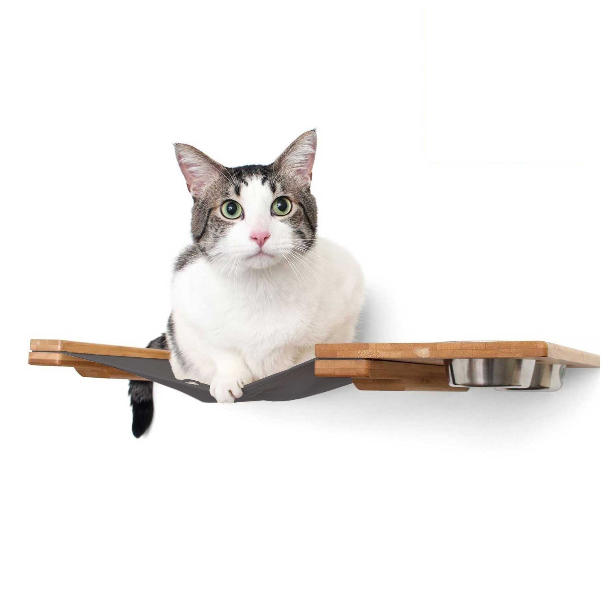 Dog Proof Cat Feeder - Wall-Mounted - Raised by Catastrophic Creations