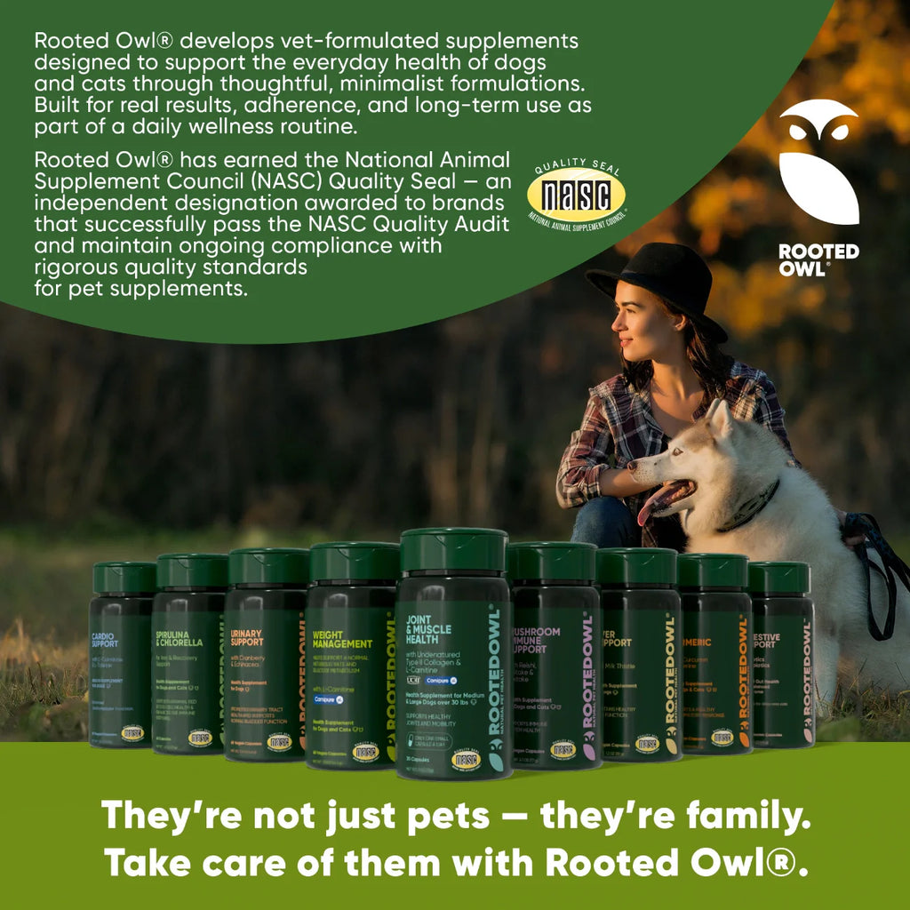 Joint & Muscle Health by Rooted Owl Pet Supplements