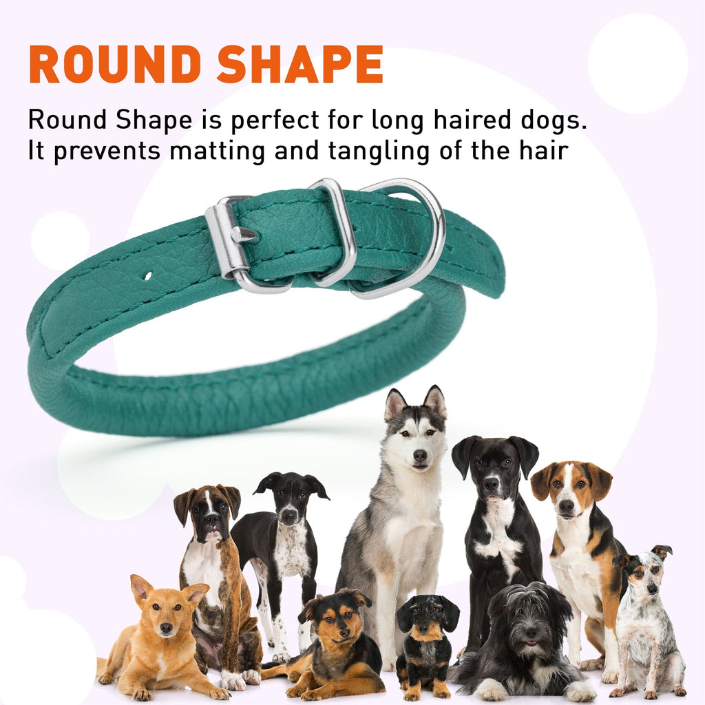 Soft Leather Round Dog Collar by Dogline