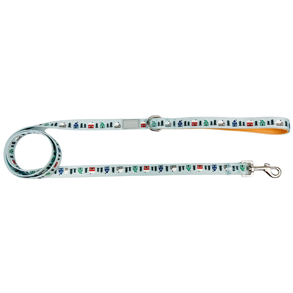 Snowy Slopes Leash by EverWoof