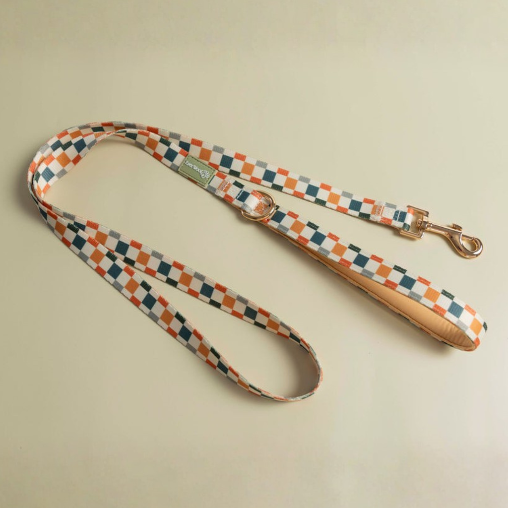 Sage & Cider Leash by EverWoof